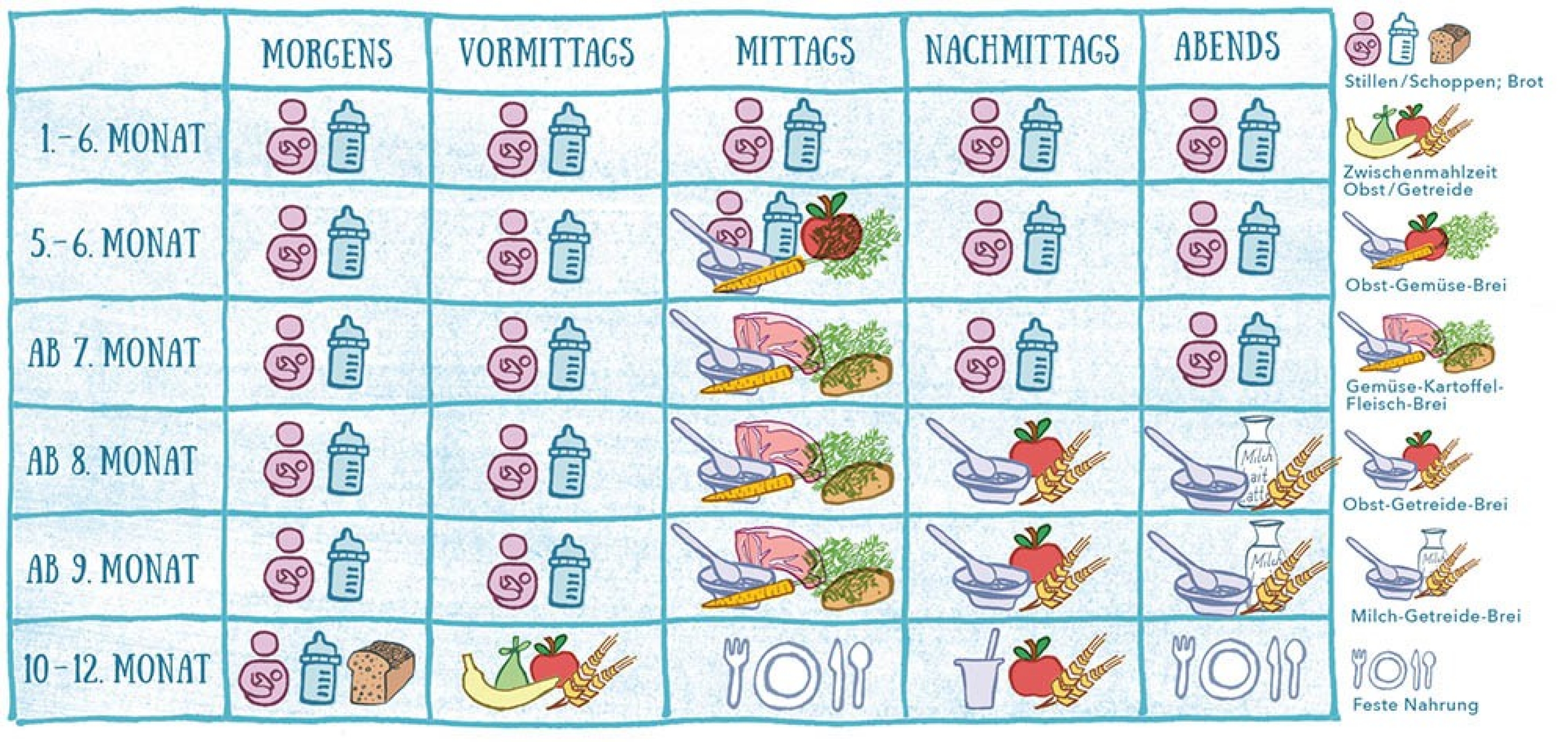 Die Tabelle zeigt einen Speiseplan für Babys im ersten Lebensjahr, vom Schoppen bis zum ersten Brei.